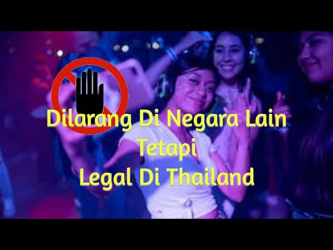 dilarang di negara lain tapi LEGAL di thailand