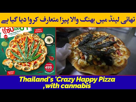 Thailand fast food chain’s ‘Crazy Happy Pizza,’ made with cannabis | Bang Wala Pizza | Sagar Media