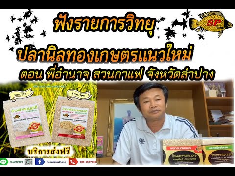 ฟังวิทยุรายการ ปลานิลทองเกษตรแนวใหม่ ตอน พี่อำนาจ สวนกาแฟ จังหวัดลำปาง ฟังวิทยุรายการ ปลานิลทองเกษตรแนวใหม่ ตอน พี่อำนาจ สวนกาแฟ จังหวัดลำปาง