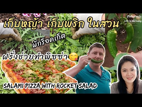 #เก็บผักในสวน 🌱🌿🌶 คุณฝรั่งช่วยทำพิซซ่า🍕 ฝาก#กดติดตาม #กดไลค์ 🙏🥰 #pizza #rocketsalat #ชีวิตในต่างแดน
