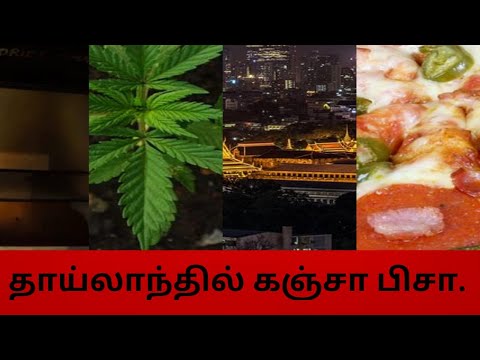 GANJA PIZZA IN THAILAND/ TAMIL/HAPPY PIZZA SHOP/