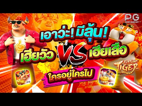 เกมสล็อต Fortune OX Vs Fortune tiger สล็อตค่ายpg ไอวัว กับ ไอเสือ ใครจะอยู่ใครจะไป 😱