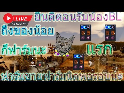 BLเด็กน้อยEP1[Live สด]เริ่มใหม่กับน้องBLฟาร์มขำๆฟาร์มขายแล้วรอบนี้