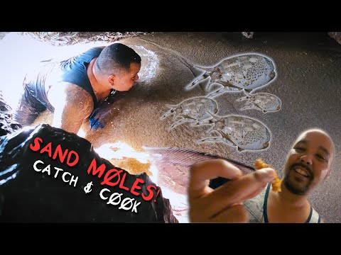 EATING BEACH BUGS! How to CATCH, CLEAN & COOK Sand Fleas!