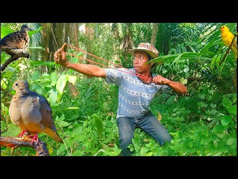 Hunting slingshot #44 – Shoot the birds in the deep forest || Thai S