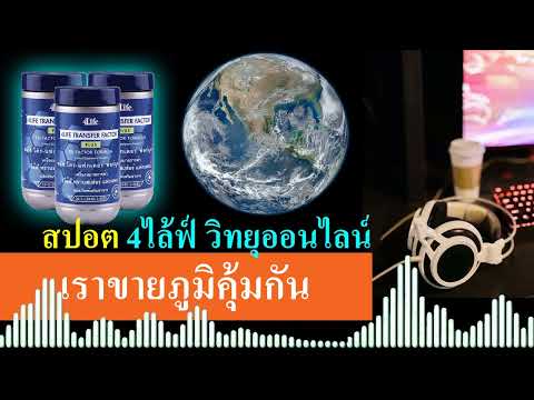 สาระ 4ไล้ฟ์ วิทยุ ออนไลน์ ผลิตภัณฑ์ 4ไล้ฟ์ ทรานสเฟอร์ แฟกเตอร์ ช่วยแก้ปัญหาภูมิคุ้มกันคุณอย่างไร?