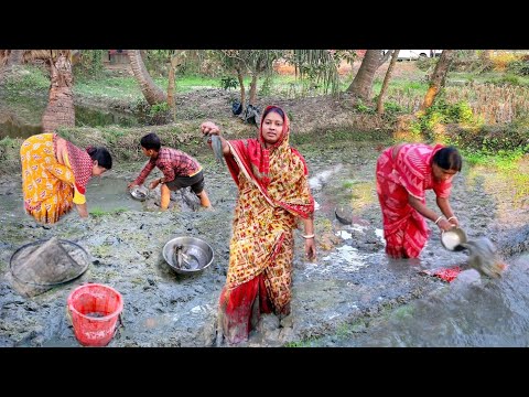 জমি থেকে মাছ ধরে আজ রান্না করলাম ভাপে কৈ রেসিপি||mud fishing in village