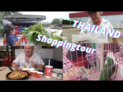 Thailand Ausgewandert. Ytong Steine, Makro alles wird teurer, Pizza essen, Papageien und Pflanzen.