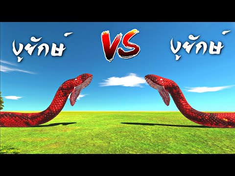 ตัวเอง vs ตัวเอง EP1  – [ animal revolt battle simulator ]