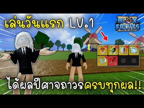 เล่นวันแรก Lv.1 แต่ได้ผลปีศาจถาวรครบทุกผล Blox Fruit Roblox