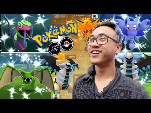 UNBELIEVABLE SHINY MADNESS WEEKEND ! POKEMON GO (2019)