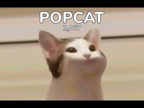 หมื่นวิว!! popcat ep6 #popcat#popcatTH#เกมส์#เกม#เกมส์ออนไลน์#ประเทศไทย