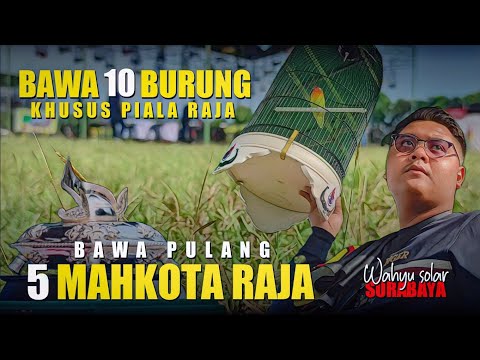 BAWA 10 BURUNG KE PIALA RAJA DAPAT 5 MAHKOTA – WAHYU SOLAR SURABAYA