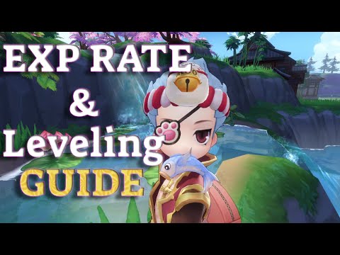 Ragnarok Origin EXP Rate Guide & [How to level fast and efficiently]