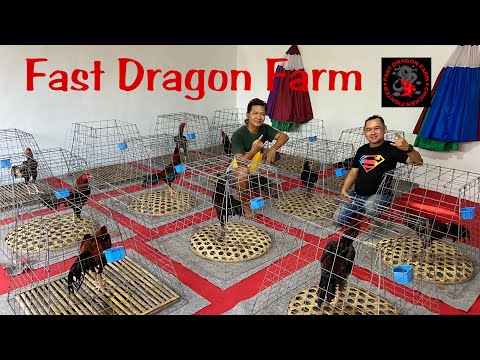 Salah Satu Kandang "Team Fast Dragon" di Kediri !!!