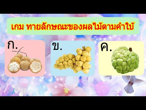 เกมทายพืชผักสวนครัวตามคำใบ้ | เกมสร้างสรรค์สำหรับเด็กและเยวาชน | WAWA kids art