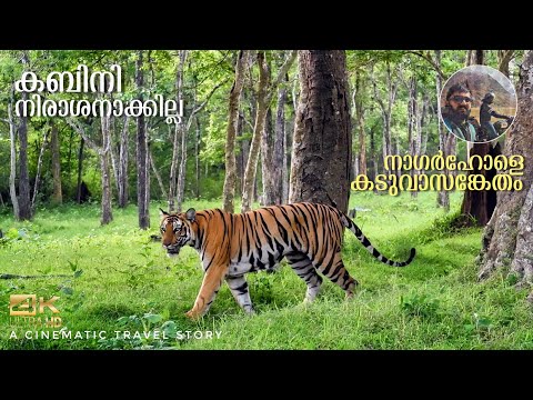 Kabini Forest Safari | Nagarhole Tiger Reserve, Karnataka