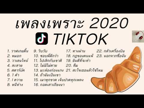 รวมเพลงเพราะ TIKTOK 2020  | ฟังเพลงออนไลน์