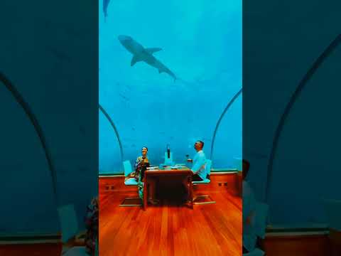 Restaurants on earth that don't look real |Dubai underwater restaurant |#dubai #italy |Travel World