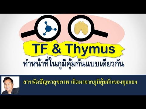 การกระตุ้นภูมิคุ้มกัน ของ Transfer Factor และ Thymus gland