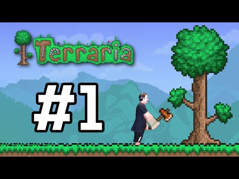 เกมประจำเดือนมิ.ย. Terraria #1