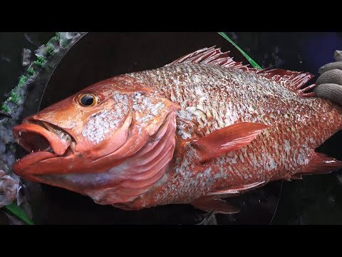 Fast Fishes fillet in Asia fish market