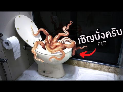 มันจะดึงท่านลงส้วม!! | Toilet Chronicle