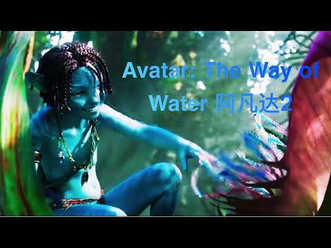 Avatar 2 trailer 2022 (The Way of Water )阿凡达2预告片  画面唯美