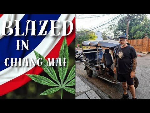 Chiang Mai Has Really Changed | Thailand Legal Cannibis | City Is Growing Fast 🇹🇭