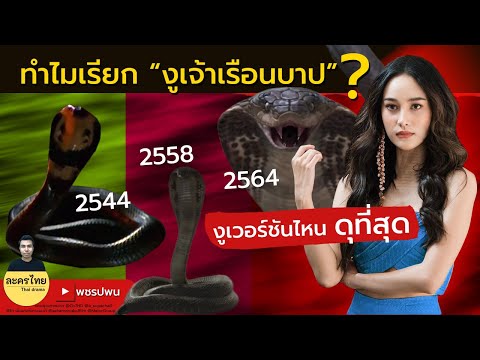 ทำไมถึงเรียก งูเจ้าเรือนบาป – แม่เบี้ยตอนจบ