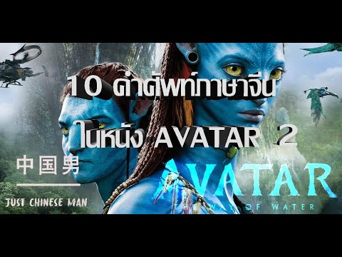 AVATAR 2 : THE WAY OF WATER  อวตาร: วิถีแห่งสายน้ำ , ขอแจก 10 คำศัพท์ภาษาจีนที่พบในหนังAVATAR 2