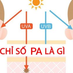 Khám phá ý nghĩa chỉ số SPF và PA trong kem chống nắng