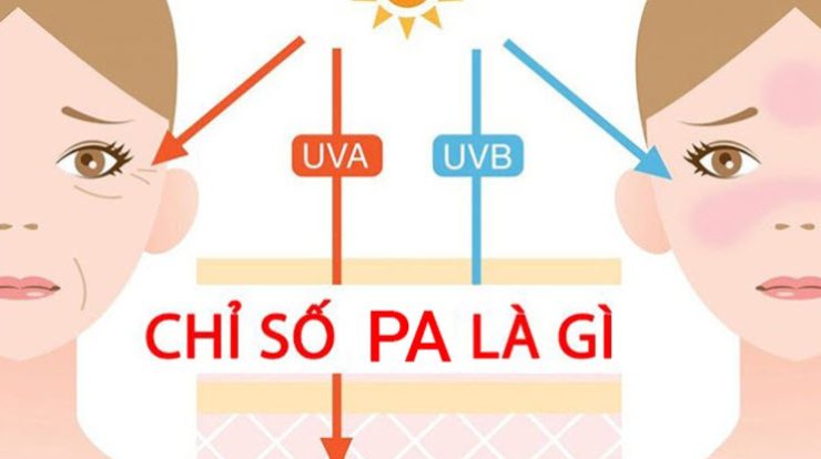 Khám phá ý nghĩa chỉ số SPF và PA trong kem chống nắng