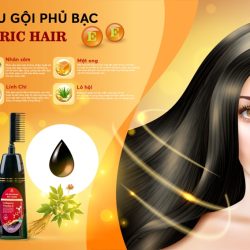 “Review” Dầu Gội Phủ Bạc Ric Hair Có Tốt Không?