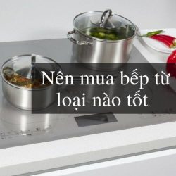 Nên Mua Bếp Từ Loại Nào Tốt Nhất? Sunhouse, Philips, Electrolux?