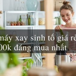 Top 10+ Máy Xay Sinh Tố Giá Rẻ 200k Tốt Và Đáng Mua Nhất 2021